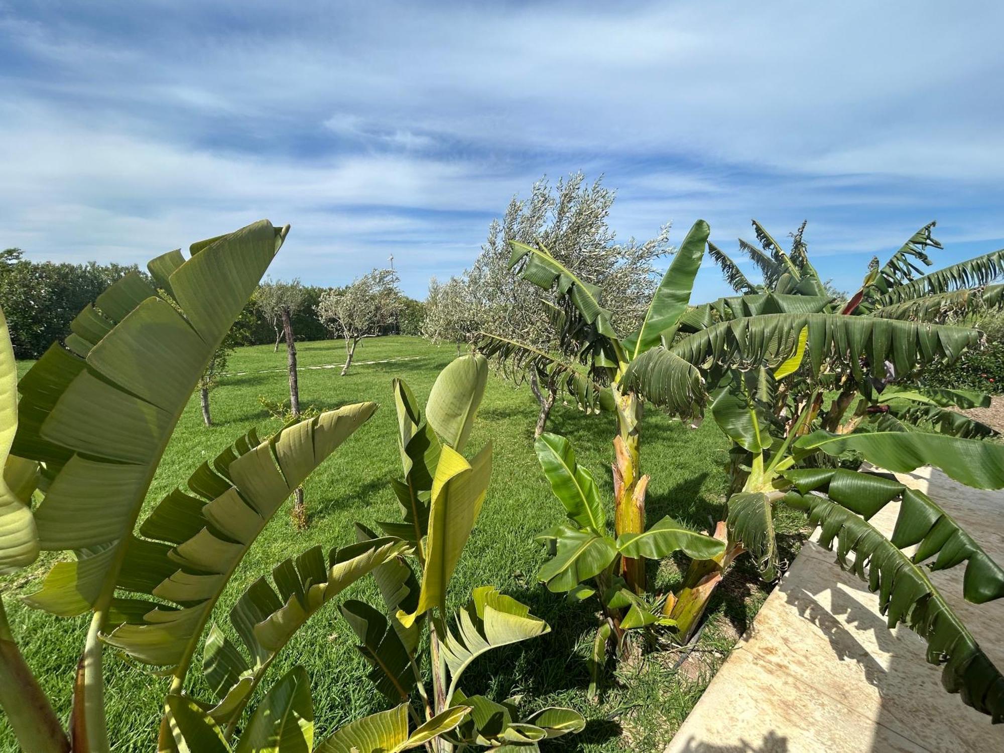 Baglio Il Gelso E L'Ulivo Appartamento Il Carrubo Reitani Bagian luar foto